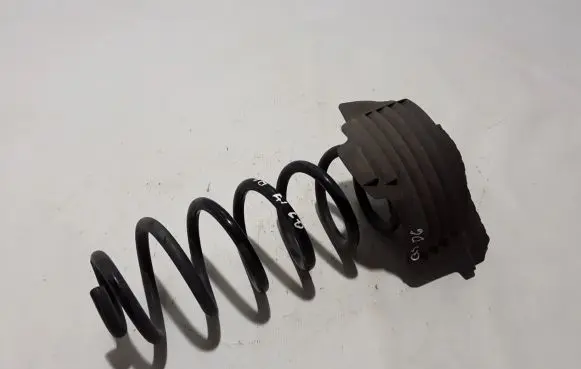 Audi Q5 SQ5 Rear coil spring 8R0511115BQ