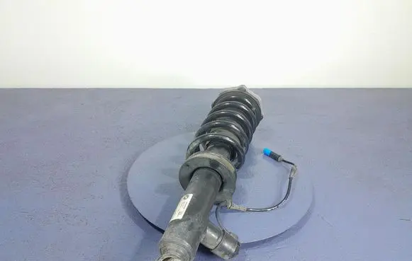Rear shock absorber/damper