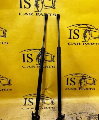 Ford Escape IV Tailgate hydraulic set LJ6BS406A11AE