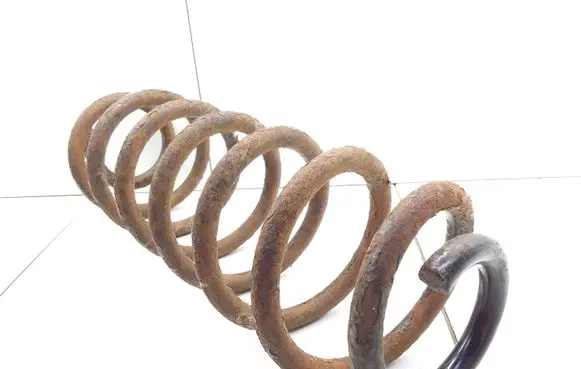 Volkswagen PASSAT B6 Rear coil spring