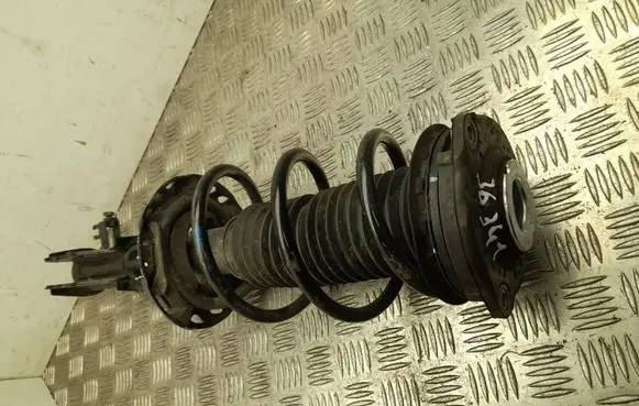 MG MG4 ev Front shock absorber with coil spring 10940071