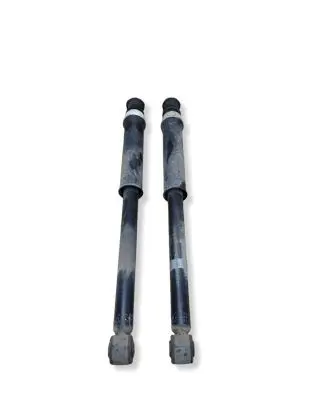 Renault Clio V Rear shock absorber/damper 562103002R