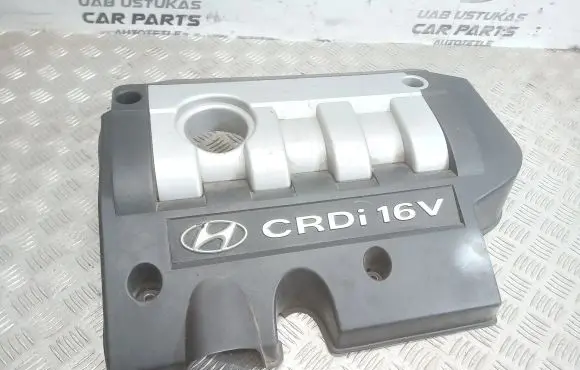 Hyundai Trajet Engine cover (trim)