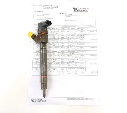 Volvo V70 Fuel injector 0445110298