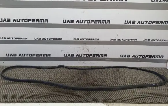 KIA Rio Front door rubber seal