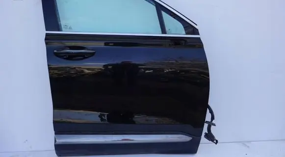 Hyundai Santa Fe Front door exterior handle 19191112