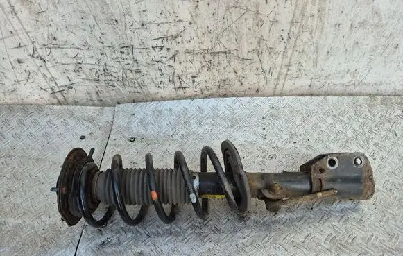 Opel Antara Front shock absorber with coil spring 95147608