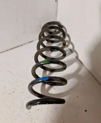 Rear coil spring