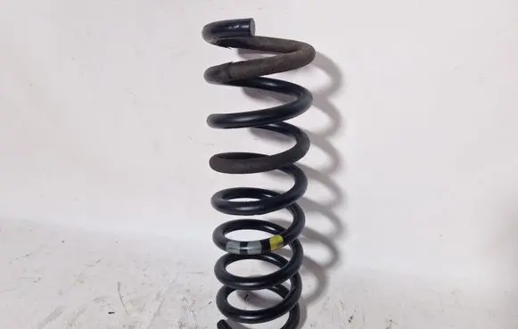 Rear coil spring