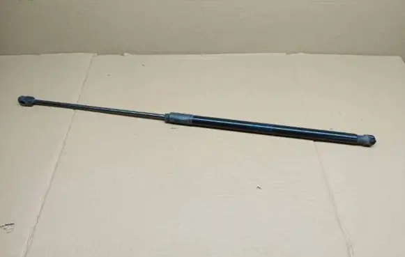 Tailgate/trunk strut/damper