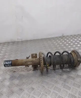 Skoda Fabia Mk1 (6Y) Front shock absorber/damper