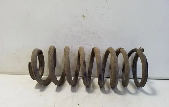 Rear coil spring