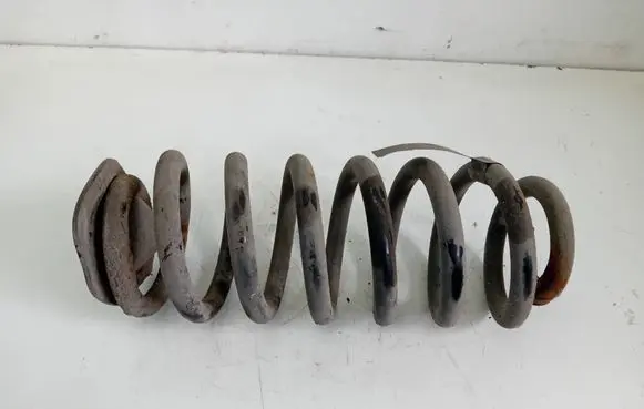 Rear coil spring