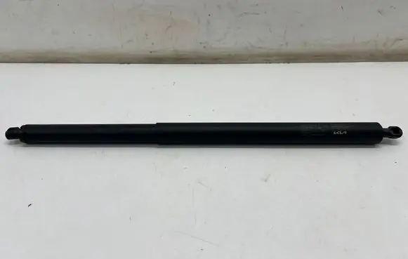 Tailgate/trunk strut/damper