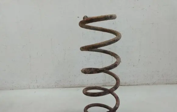 Volkswagen New Beetle Rear coil spring