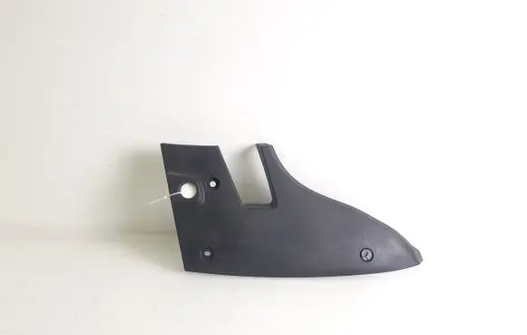 Rear/tail light trim molding