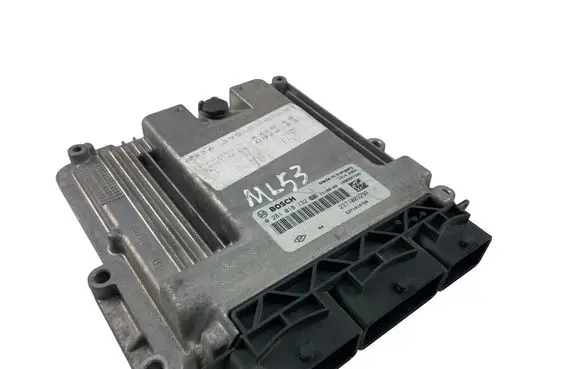 Engine control unit/module ECU