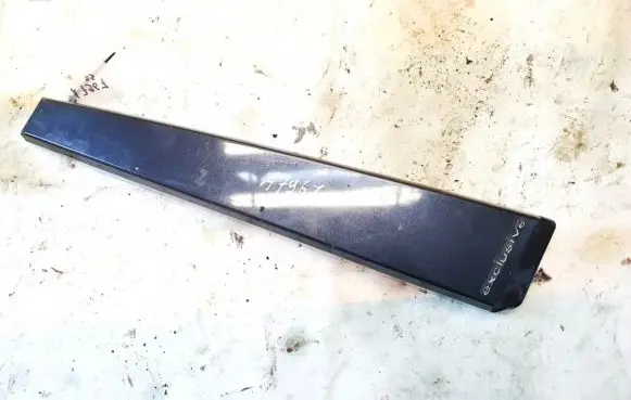 Citroen C5 Rear door glass trim molding 543079177