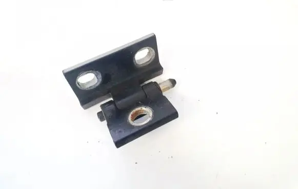 Volvo S60 Rear door lower hinge