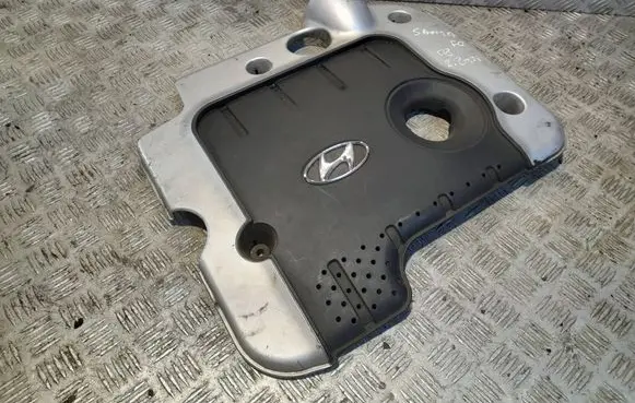 Hyundai Santa Fe Engine cover (trim)