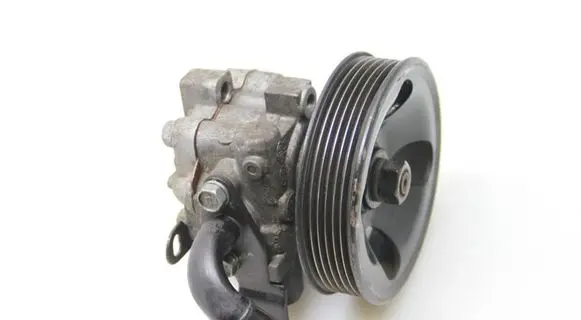 KIA Carens II Power steering pump 571002G200