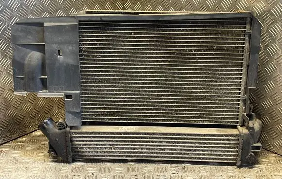 Renault Kangoo I Radiator support slam panel 8200394646 5020463 8200221885A