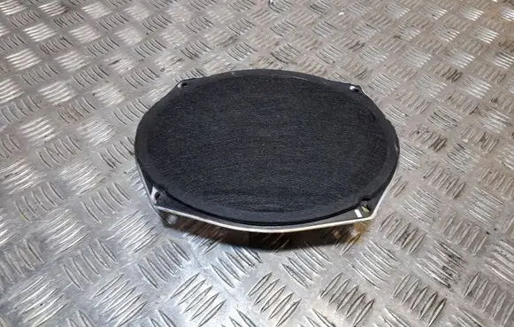 Chrysler Pacifica Rear door speaker 05091019AB