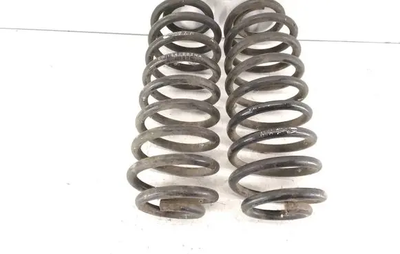 Rear coil spring
