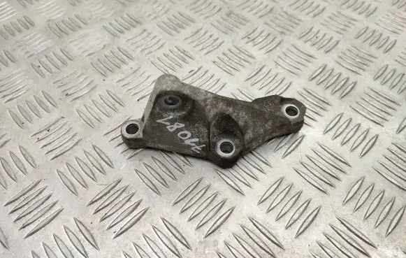 Mini Paceman (R61) Fuel pump bracket 781069801