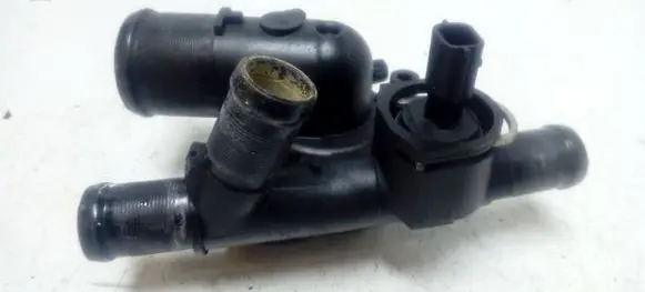 Thermostat/thermostat housing