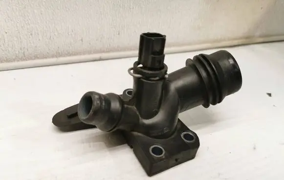 Thermostat/thermostat housing