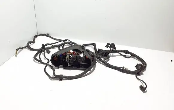 Other wiring loom