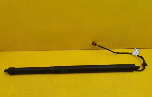 Tailgate strut