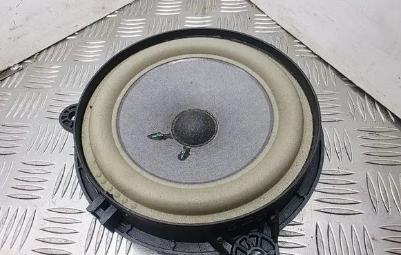 Rear door speaker