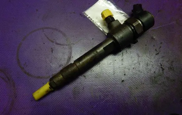 Fiat Punto (188) Fuel injector 0445110019