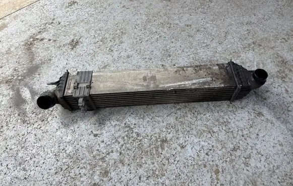 Renault Laguna III Intercooler radiator 144610001N