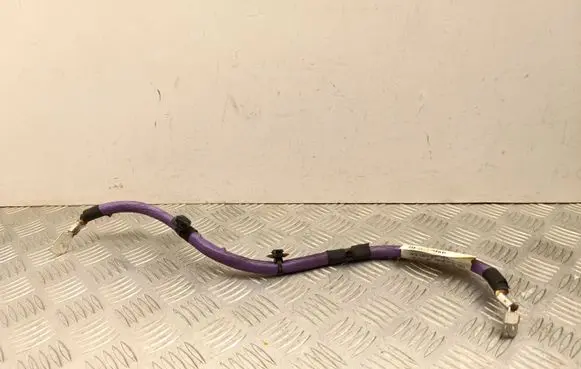 Peugeot 3008 III Other wiring loom 9843010780 2219431903