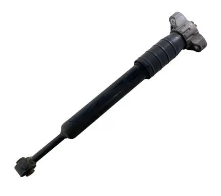 Rear shock absorber/damper