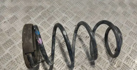 Hyundai Santa Fe Rear coil spring 553312B000