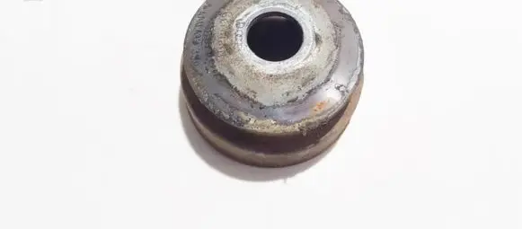 Coil spring mount