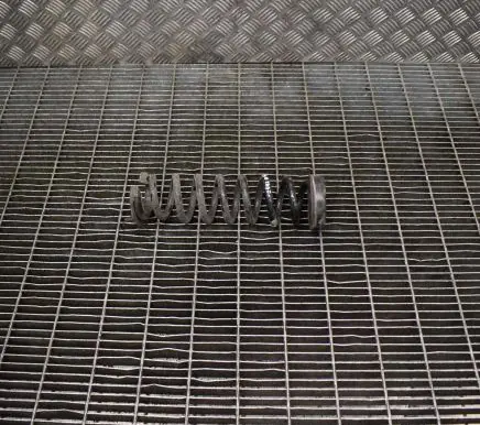 BMW 2 F22 F23 Rear coil spring