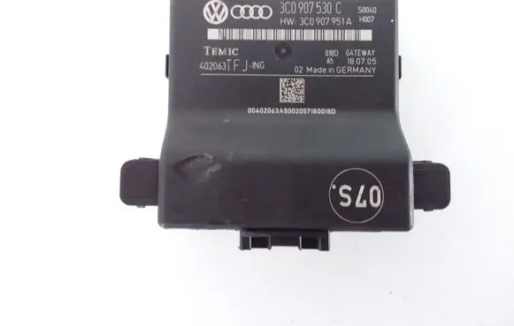 Volkswagen PASSAT B6 Gateway control module 3C0907530C