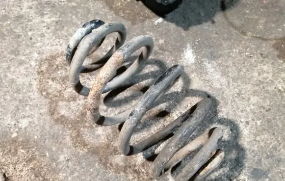 Volkswagen PASSAT B5.5 Rear coil spring