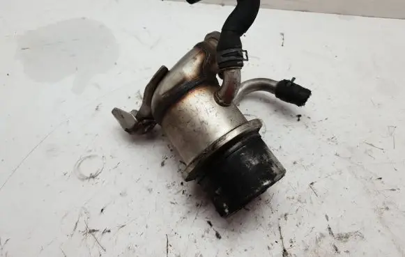 EGR valve cooler