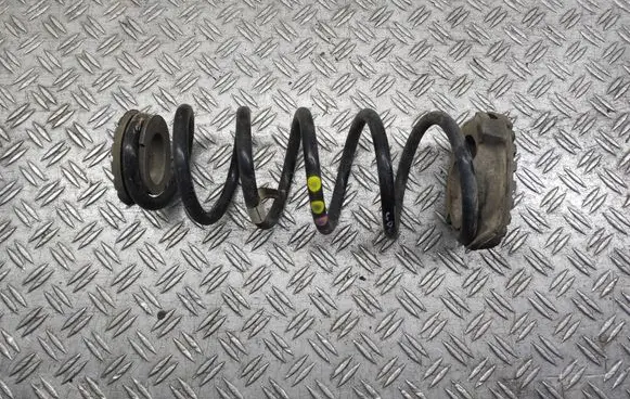 Fiat 500L Rear coil spring 51936535