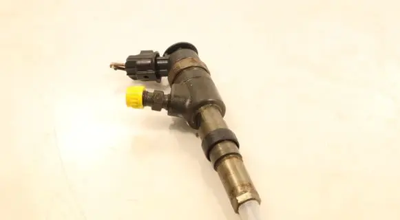 Citroen C3 Fuel injector 0445110252