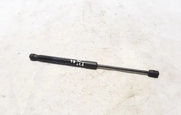 Tailgate strut