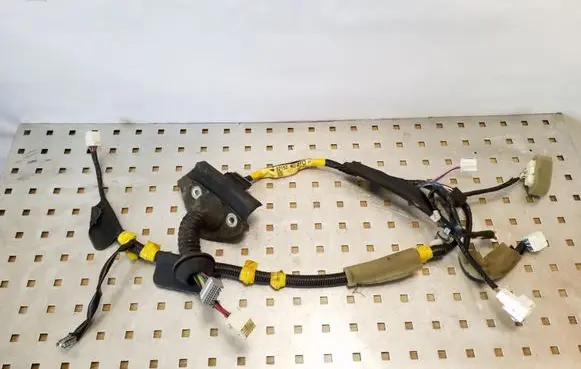 Toyota Land Cruiser (J120) Front door wiring loom 8215260410