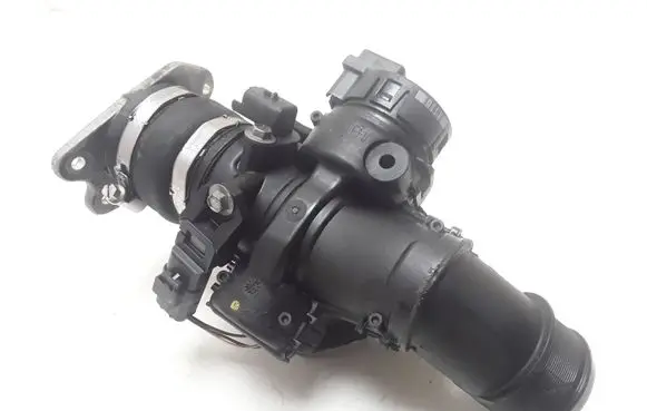 Citroen C5 Throttle valve 25365223