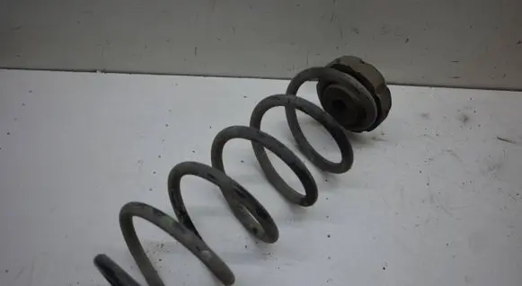 Rear coil spring